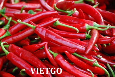 ớt tươi xuất xứ việt nam